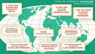 mankind the story of all of us infographic