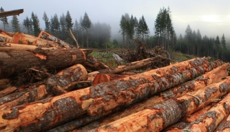 Ax Men