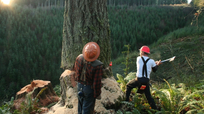 Ax Men