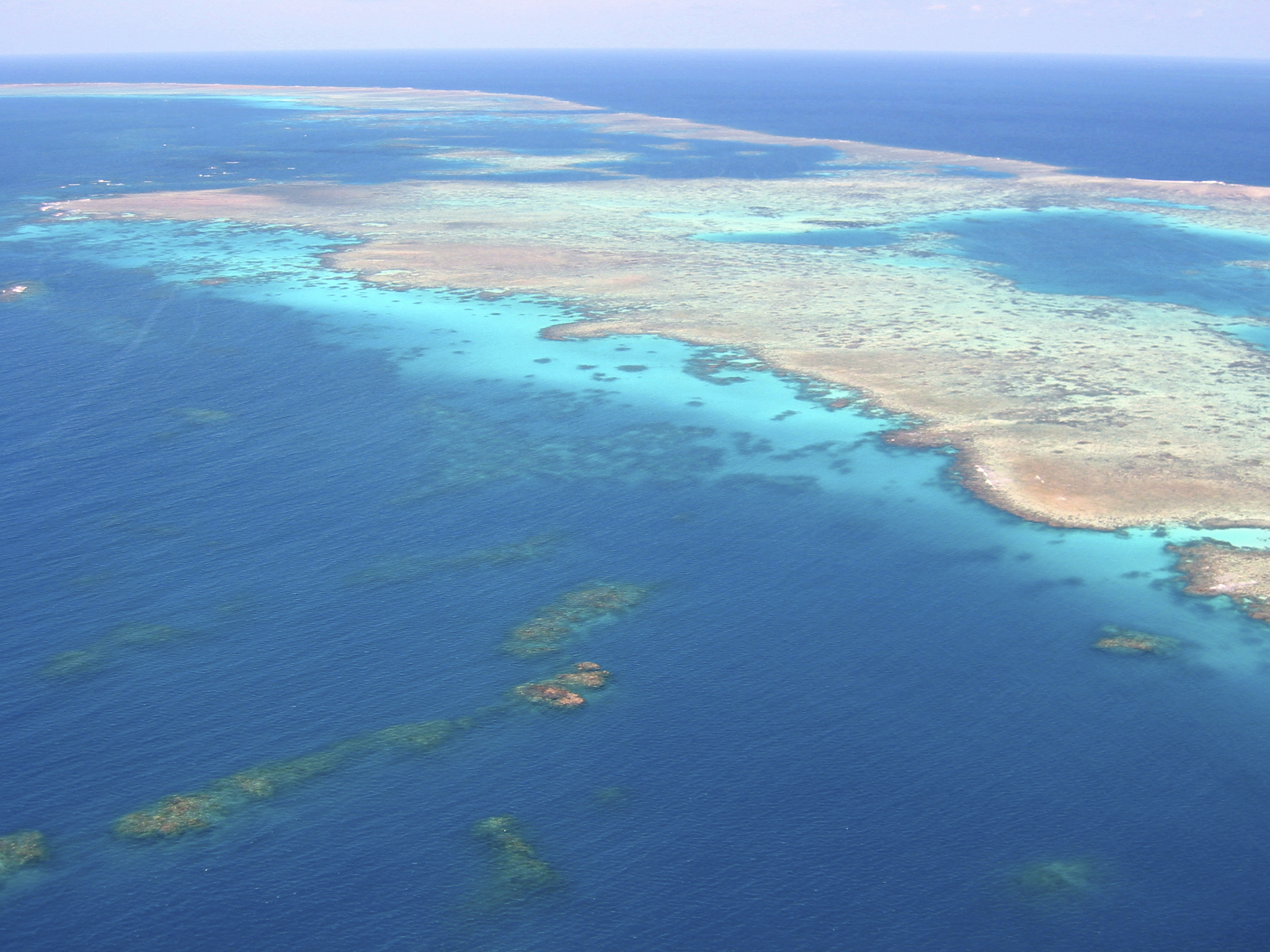 australia, great barrier reef