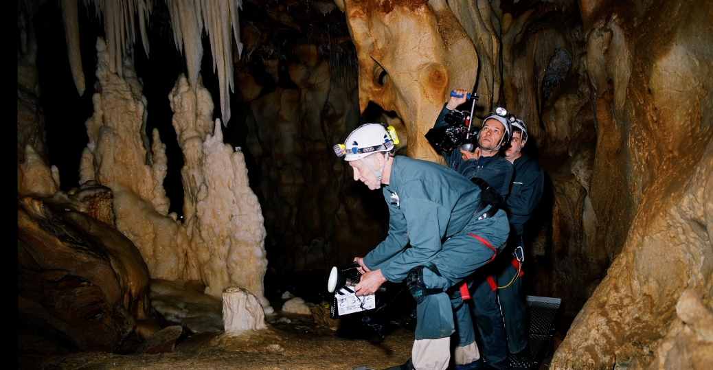 History Films, Cave of Forgotten Dreams - Chauvet Cave, History, History Channel