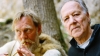 History Films, Cave of Forgotten Dreams, Werner Herzog, History, History Channel