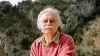 History Films, Cave of Forgotten Dreams, Werner Herzog, History, History Channel