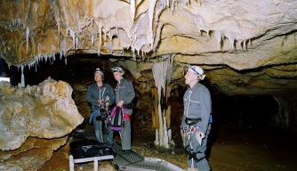 History Films, Cave of Forgotten Dreams - History - History Channel