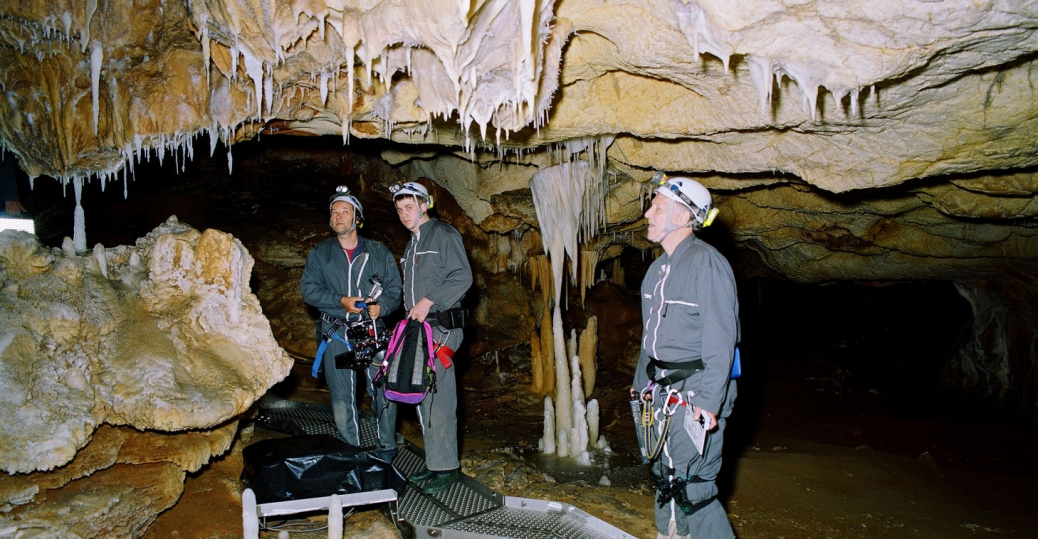 History Films, Cave of Forgotten Dreams - History - History Channel