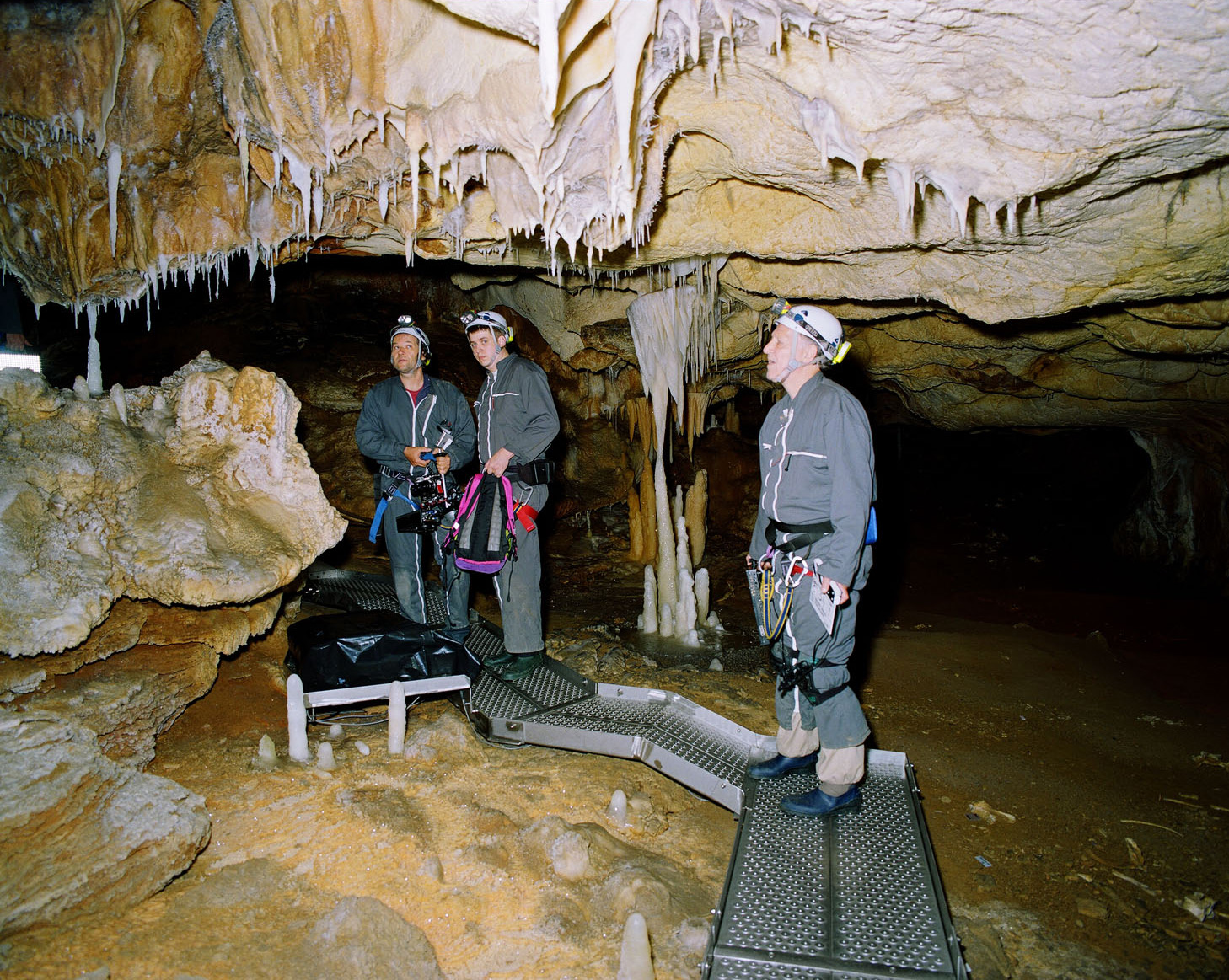 History Films, Cave of Forgotten Dreams - History - History Channel