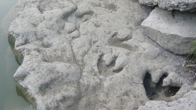 monsterquest, history channel, dinosaur prints, fossils