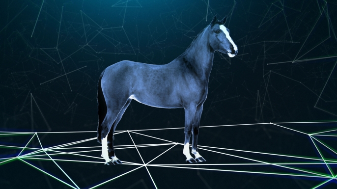 Big History, The Horse