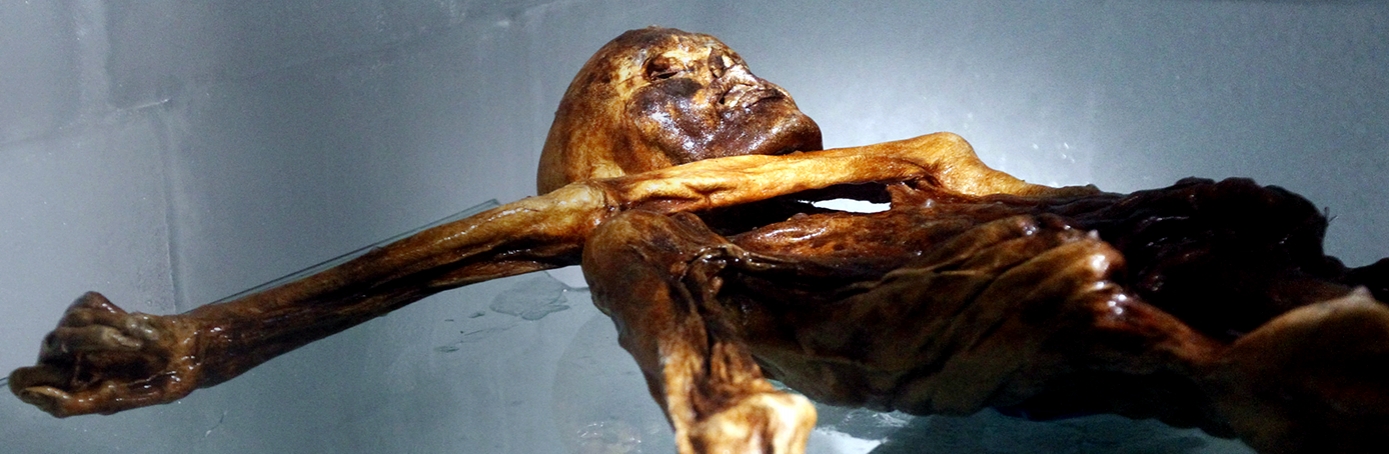 The Iceman's Stomach Reveals New Clues