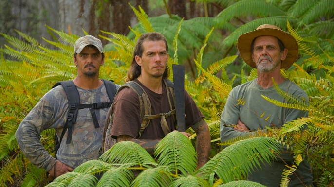 American Jungle Correa Clan