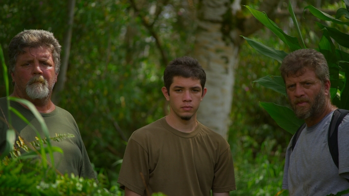 American Jungle Rosa Clan