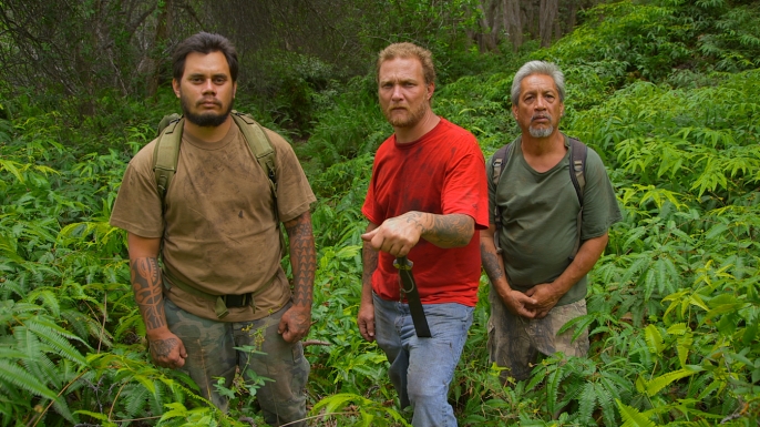 American Jungle Blood Clan
