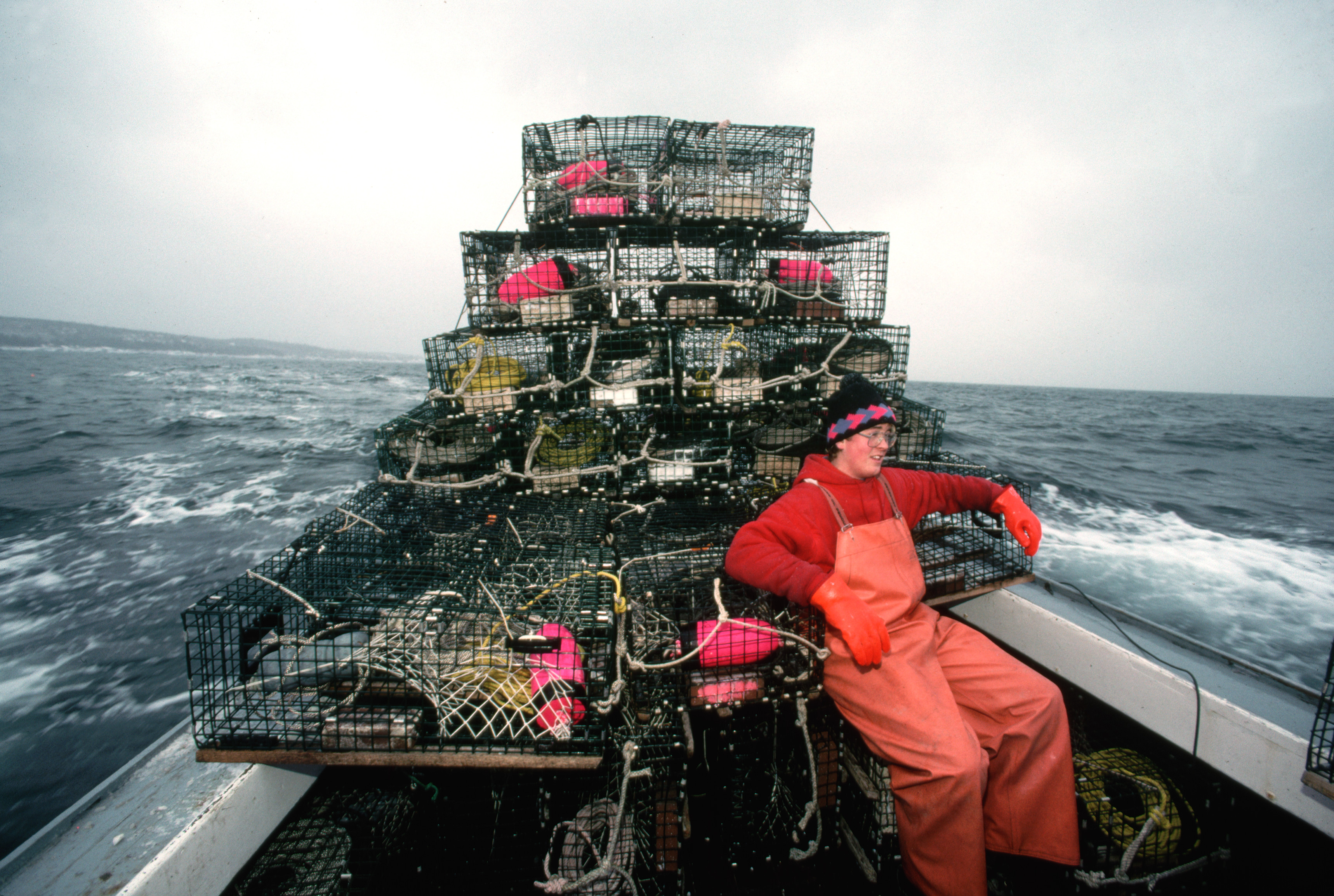 Maine Pictures Maine