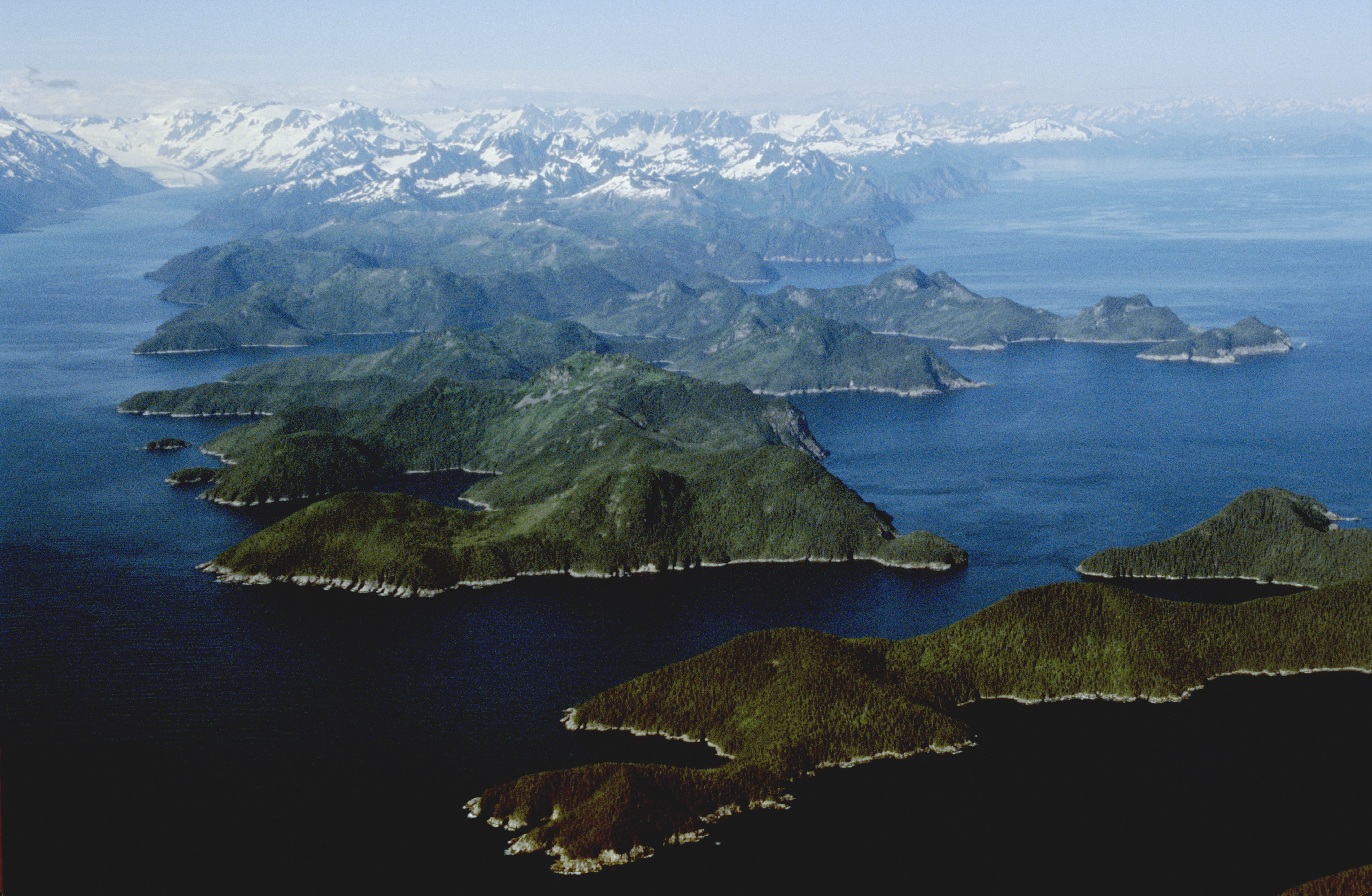 Kenai fjords national park coupons