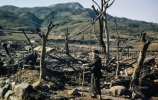 Bombing of Hiroshima and Nagasaki