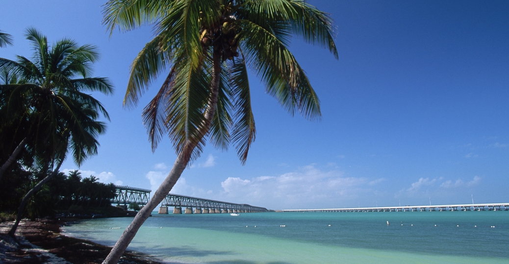 palmtreeandbeachatstatepark2 Florida Pictures Florida