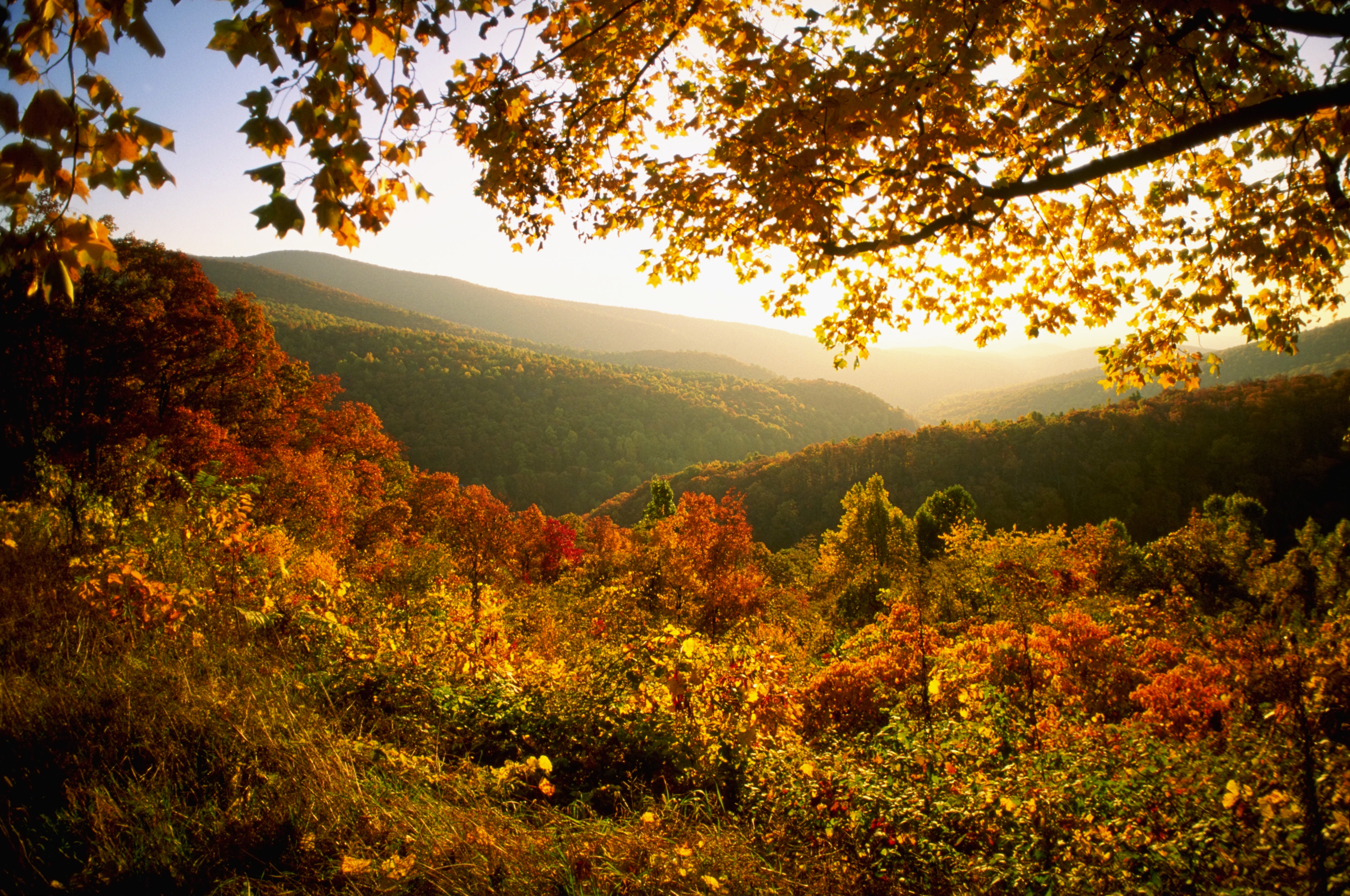 autumninshenandoahnationalpark2 Virginia Pictures Virginia