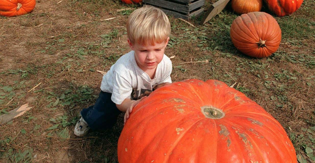 1950skidsinbluejeanspullingredwagonfullofpumpkins2