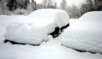 HISTORY in the Headlines