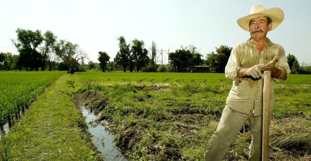 Cuautla, Morelos Alchetron, The Free Social Encyclopedia