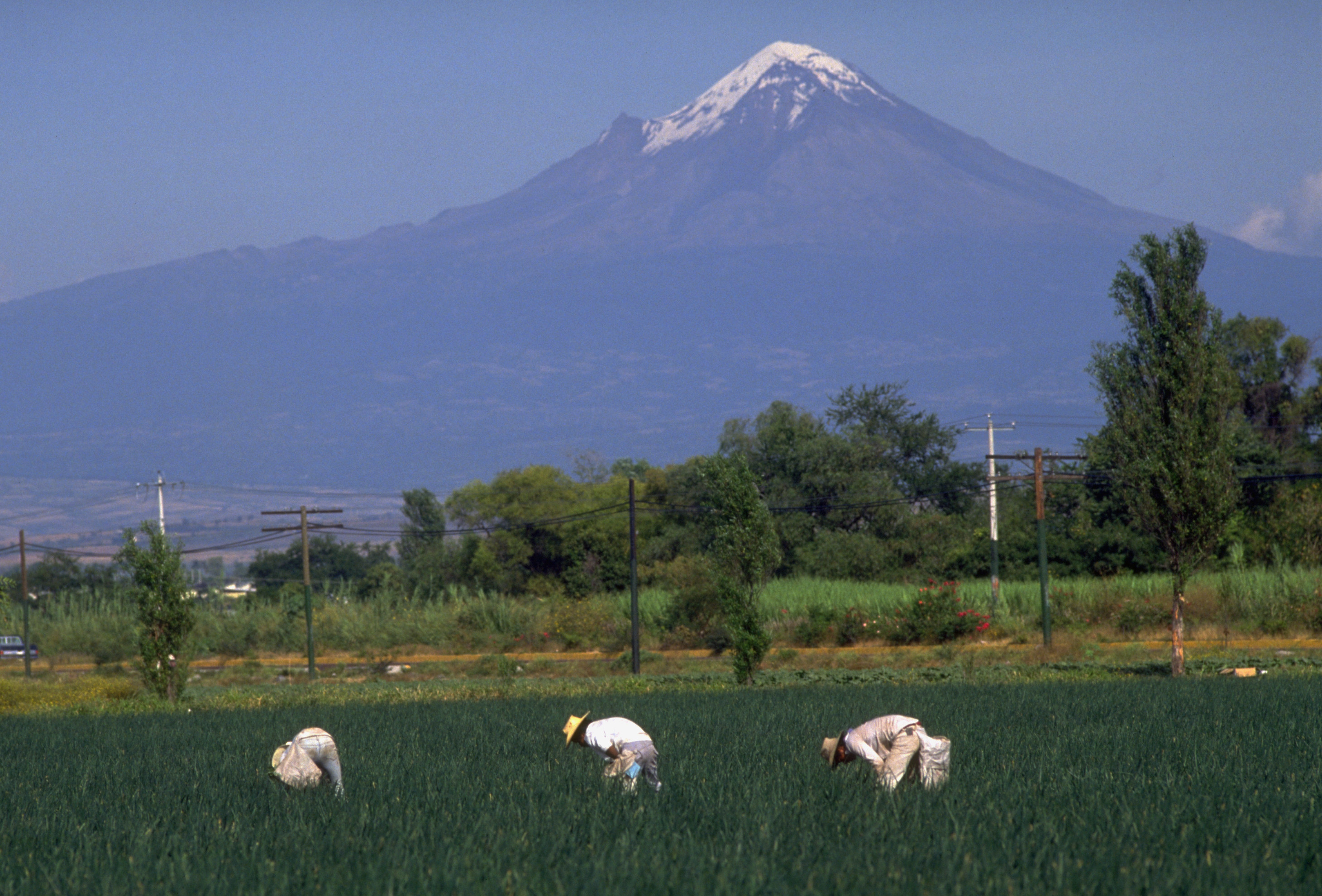 Morelos Pictures Morelos