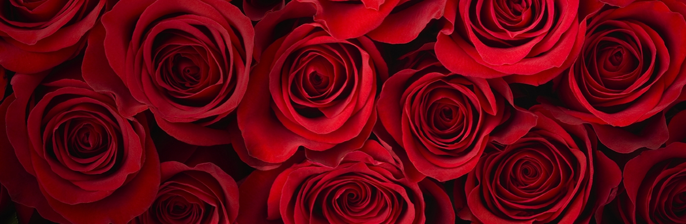 Valentine's Day: Bet You Didn't Know