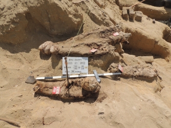 Bodies at the Fag el-Gamous dig site (Credit: BYU)