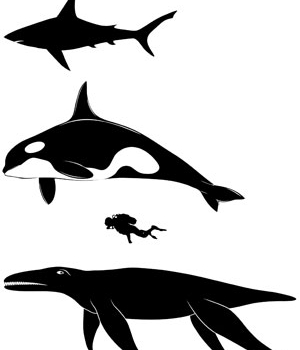 Dinosaur Arthritis