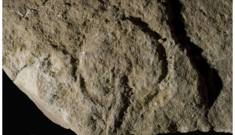 An engraved ring-like symbol from Abri Castanet.