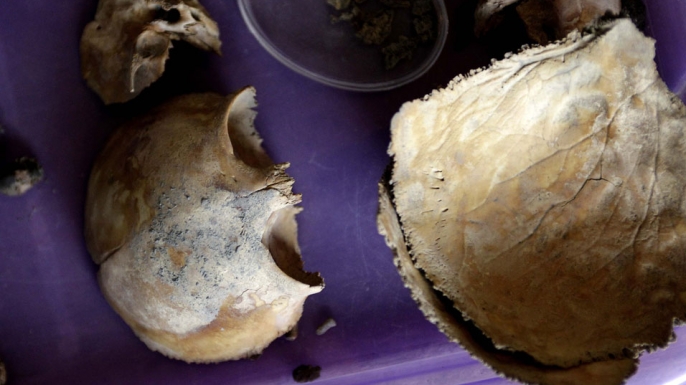 Remains of an Aztec child, recovered during the construction of a new metro line in Mexico City, are displayed by the National Institute of Antropology and History August 17, 2010.