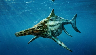 Scientists Identify Scottish Fossil as Jurassic-Age “Marine Lizard”