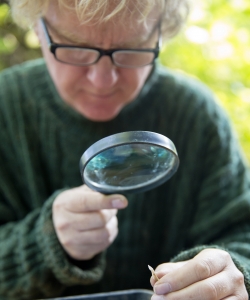 David Jacques examines artifcat from the site