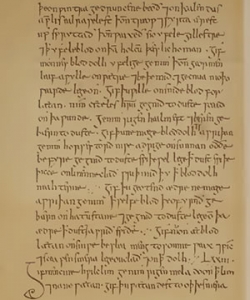 A facsimile of a page from "Bald's Leechbook"