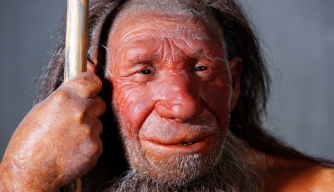 Did Neanderthals Die Out Much Earlier Than We Thought?