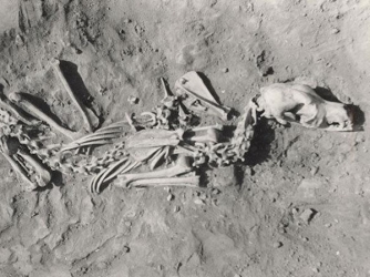 Excavated dog burial pit in Siberia.