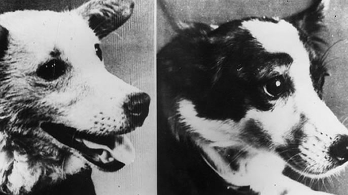 Belka (left) and Strelka.
