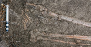 Leg bones in grave. (Credit: Thorsten Kahlert)
