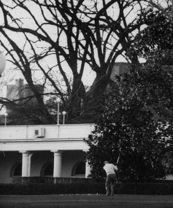 Eisenhower playing golf on White House lawn. (Credit: Hank Walker/The LIFE Picture Collection/Getty Images)