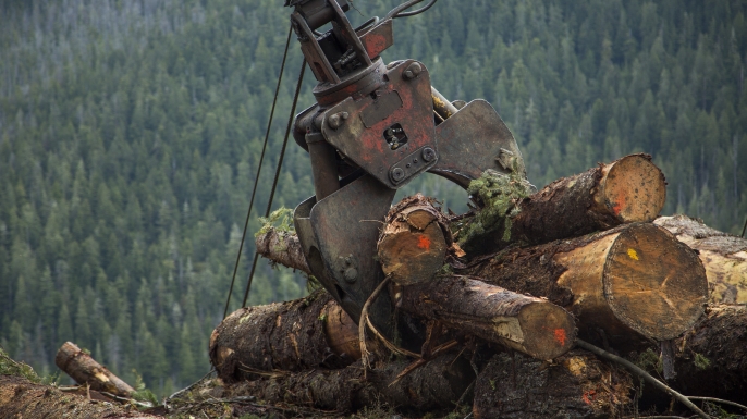 Ax Men