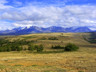 New tree-ring width measurements from the Russian Altai mountains indicate a drastic cold period 1,500 years ago. (Credit: Vladimir S. Myglan)