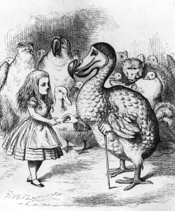 The dodo presenting Alice with a thimble from the 1st edition of Alice in Wonderland. (Credit: Hulton Archive/Getty Images)