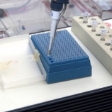 Credit: fotografixx/http://www.istockphoto.com