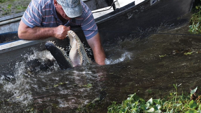 Swamp People