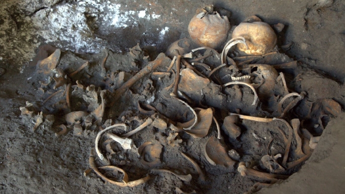 Skeletons located in the excavations of a shop. (Credit: Soprintendanza Pompei)