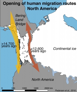 Map outlining the opening of the human migration routes in North America. (Credit: Mikkel Winther Pedersen)