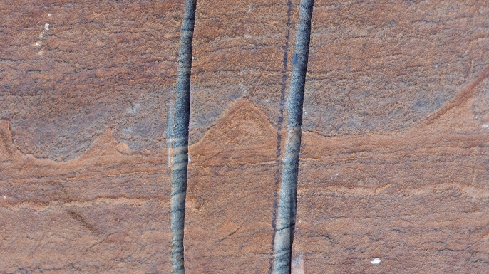 One of the stromatolite occurrences