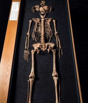 Another skeleton recovered from the cemetery in Southwark.