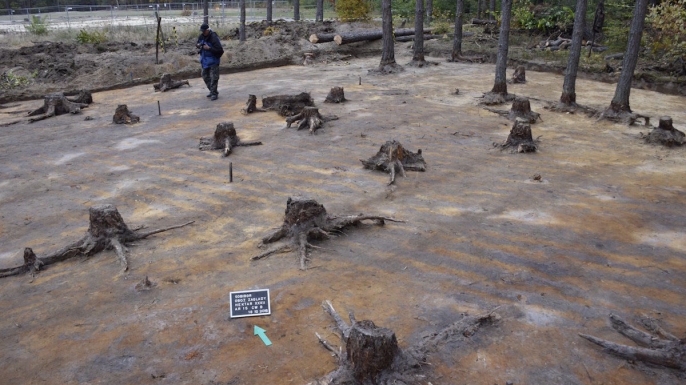 The excavation site at the former extermination camp of Sobibor.