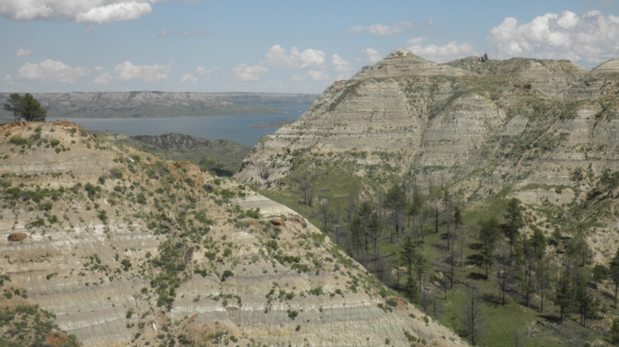 A fossilized skeleton representing a new elasmosaur species was found in these hills near the Fort Peck Reservoir, seen in the distance, on the Charles M. Russell National Wildlife Refuge in eastern Montana. (Credit: Beverly Skinner)