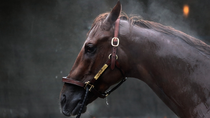 Irish War Cry gets a bath after training for the Kentucky Derby at Churchill Downs on May 4, 2017. (